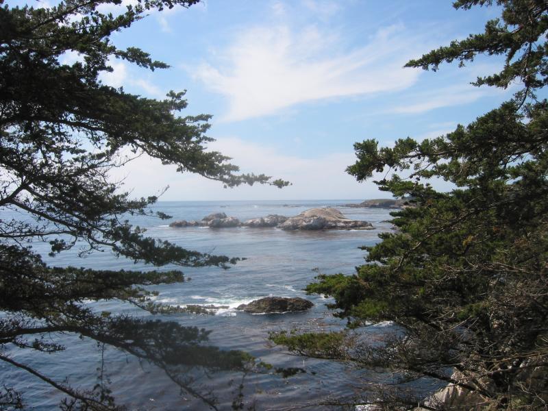 2004/06 June/Monterey Big Sur/800x600_IMG_0875.JPG